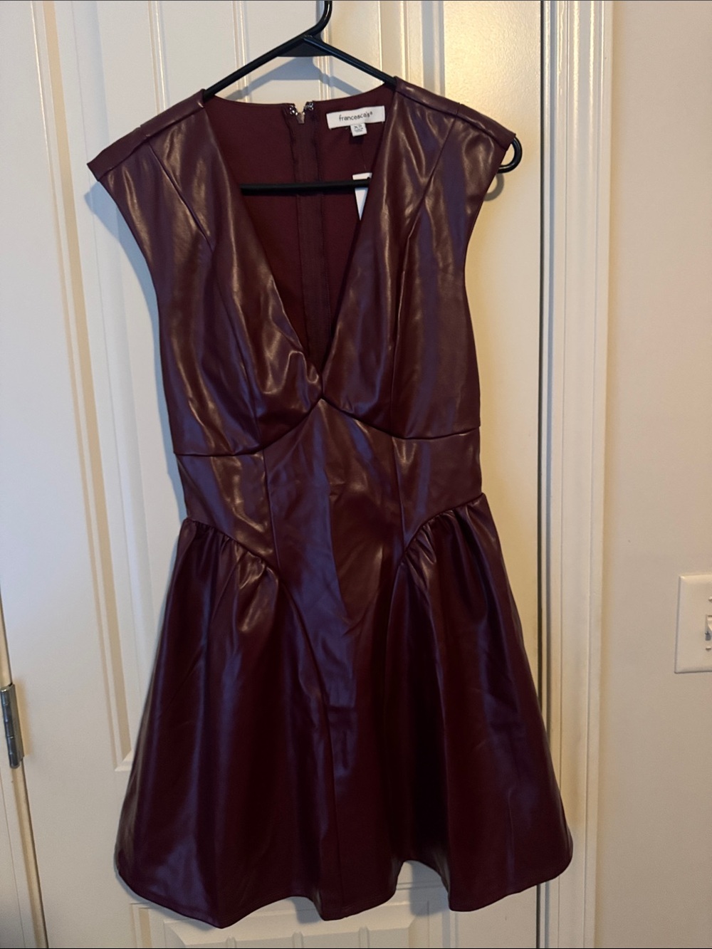 Francesca's Collections Wine Faux Leather V-Neck Fit & Flare Mini Dress